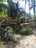 GARDN JAGA HARIBHARI NIVAS BAHUT SUNDAR ACCHI DENI HAI ASSOLNA GOA MEI