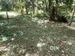 Residential Land