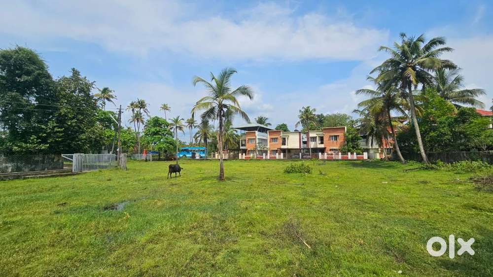 Prime Land (Purayidam) - 20 minutes away from Lulu Mall, Edapally Jn.