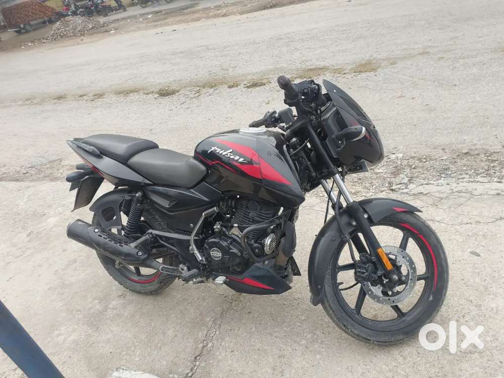 Pulsar 125 top model