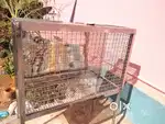 Rabbit cage