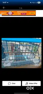 Bird cage for sale