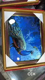Marriage buro ki tele calling