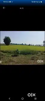 1 ਕਿੱਲਾ ਪੈਲੀ