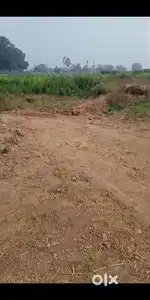Premium Land for Sale in Dhankadha, Sasaram (Rohtas) – Ideal for Inves