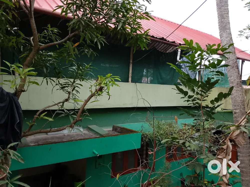 PATTAM LEKSHMI NAGAR 10 CENT  KARABHUMI PER CENT 14 LAKHS NEGOTIABLE