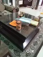 Arora pharmaceutical moga