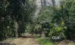 Agriculture land for sale near Amaravati capital city