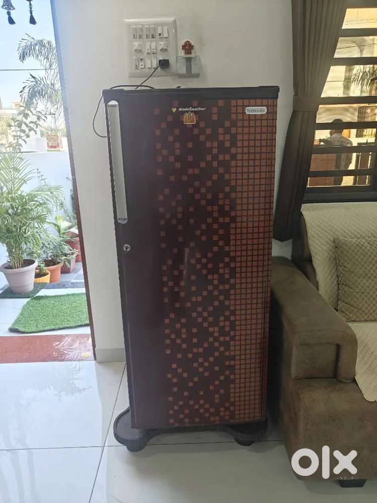 Kelvenitor 160 liter fridge