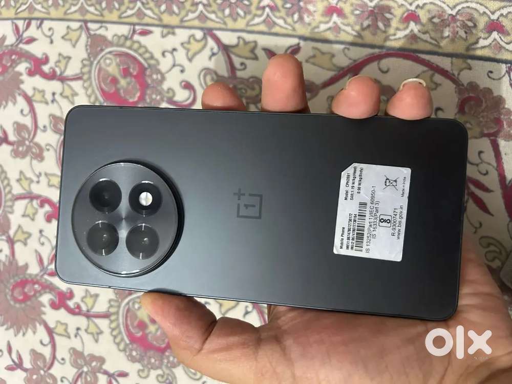 6 Month old one plus 13 R 16/256 Gb