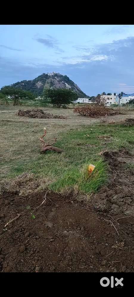 House site at Palani with 20 feet road