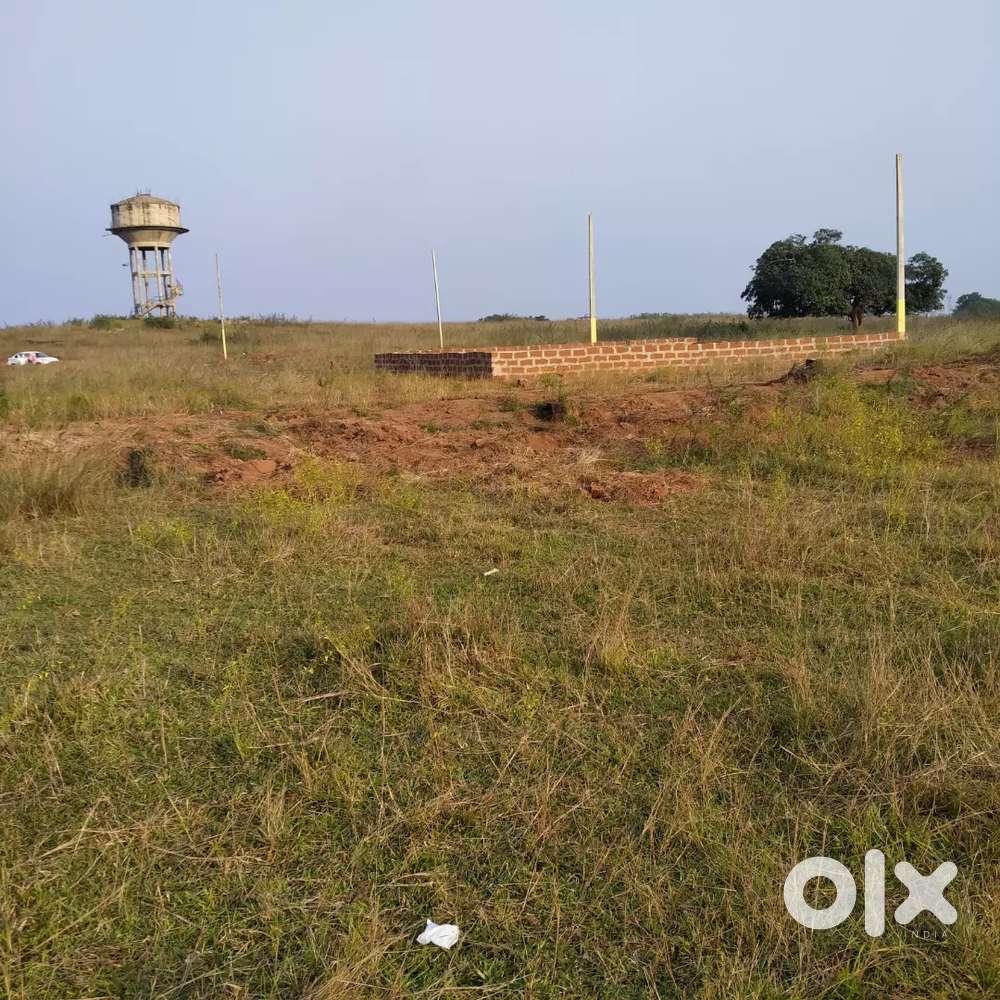 Immediately Regs... Fresh Plot