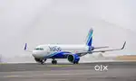 IndiGo Airlines urgent hiring ground staff vacancies available