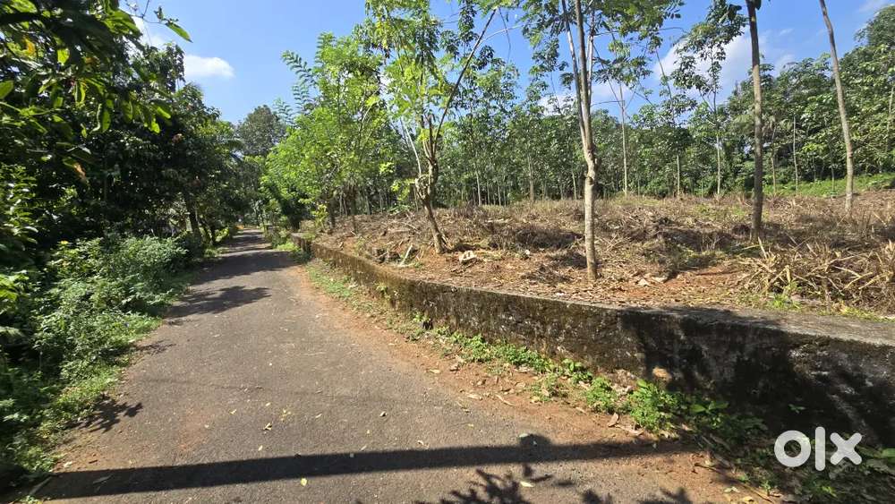 Angamaly mookkannoor manjikkadu 1 acre land for sale immediately