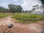 House plot 4.25 cent near Ettumanoor town 4.25 lakh/cent