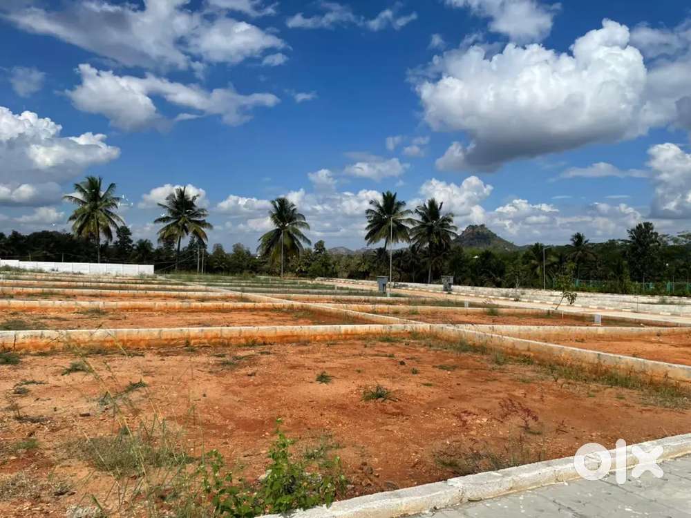 Sindhoor green city haro halli