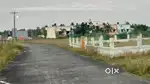 1800 Sqft DTCP App Plot at Rajiv Gandhi Nagar Pandur Gudvancry