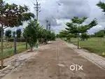 Ad for Premium Residential Plot