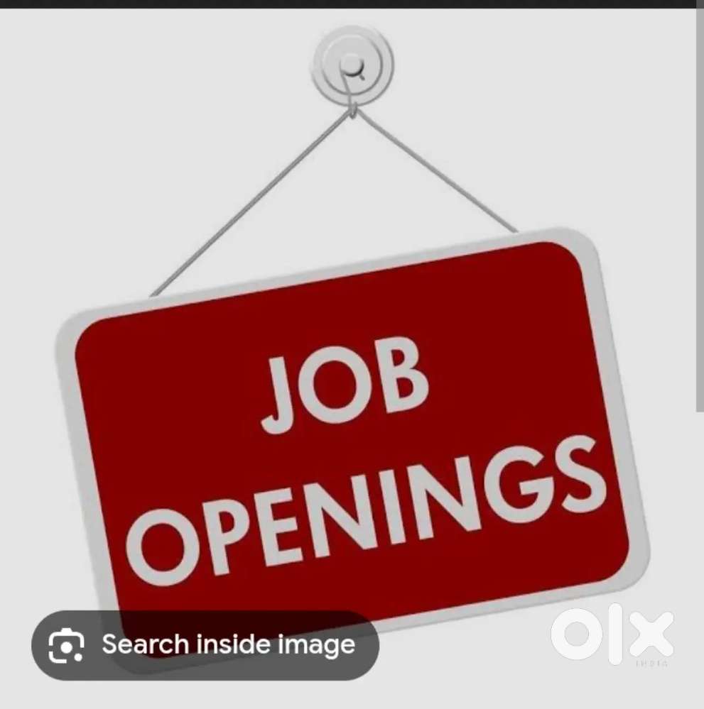 Fresh Accountant Lady