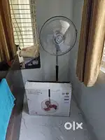 Toronto stand 2 fan
