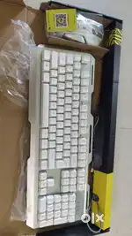 Gaming keyboard. Zebronics