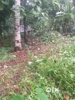 8 Cent Plot for sale in Arakkunnam