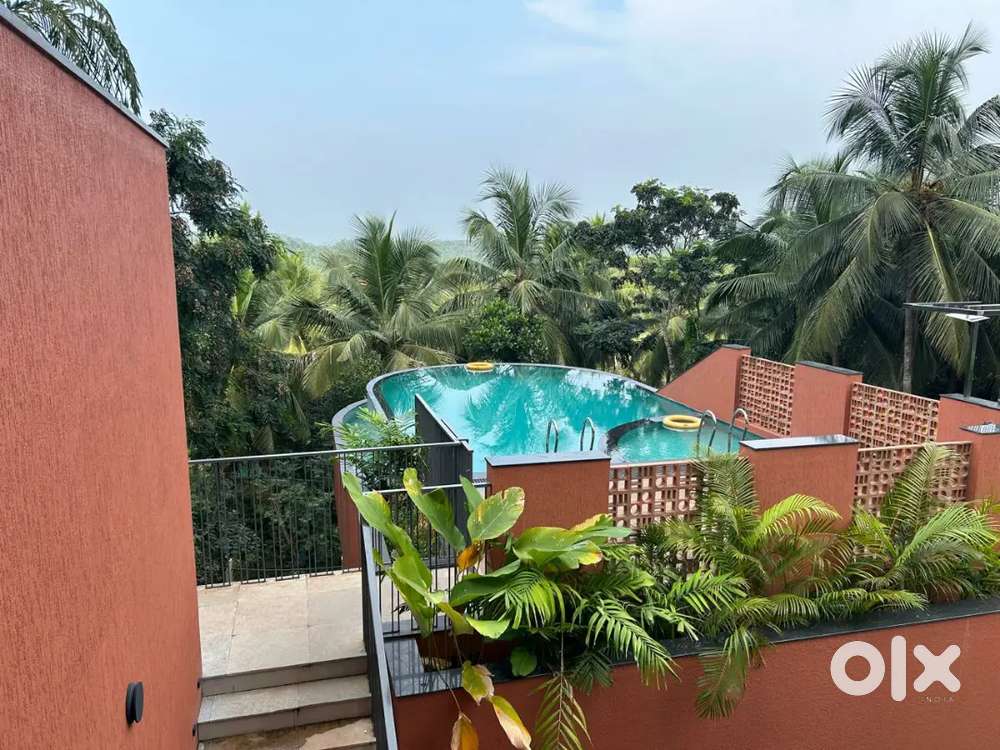 2 bhk fully furnished Branded flat for rent near olavanna panchayat