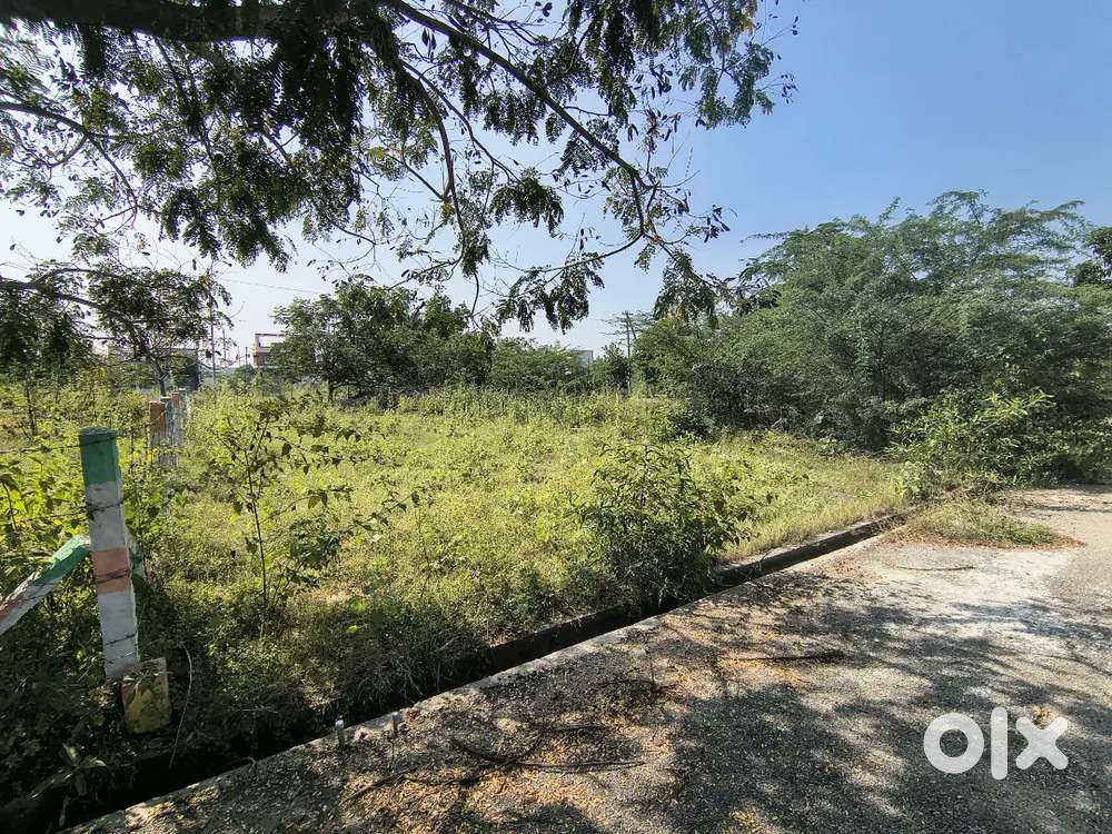 DTCP Approved Site for Sale SNS arts college near