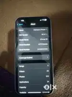 Iphone 15 256