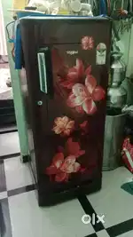 Single door fridge