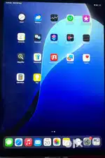 Ipad Pro 11 256 GB ( 3rd Generation )