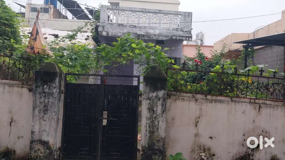 House for rent  near Kotpalliwar doctor (raut ki chakki)