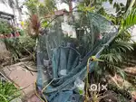 Safety net for coconut tree