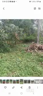 Thottumukk. Poovattuparamba calicut