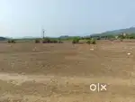 2gunta land selling