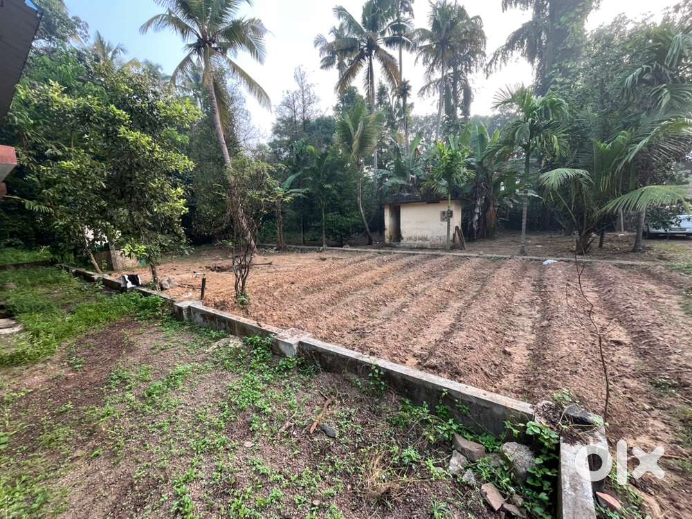 15 cent for sale at East kadungalloor