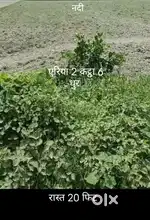 आवासीय प्लॉट है,फार्म हाउस के लिए भी ठीक है