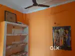 Room for rent girls only study and job