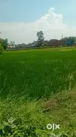 3 Bissa Residential Plot for Sale at Sarane Modh Chakiya Road