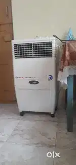 Bajaj coolestg