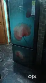 Haier fridge