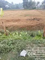 Bhojher hut tardaha super plot