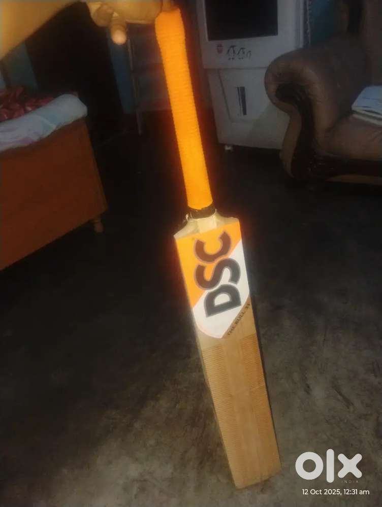 DSC KASHMIRI WILLOW LEATHER BAT NEW