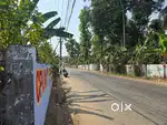 90Cent Land For Sale In Neericode Aluva Varapuzha Bus Route Frontage