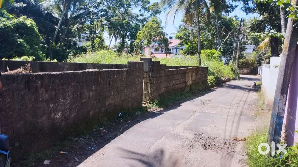 6.49 cent land,on road frontage, Prime Location, negotiable.