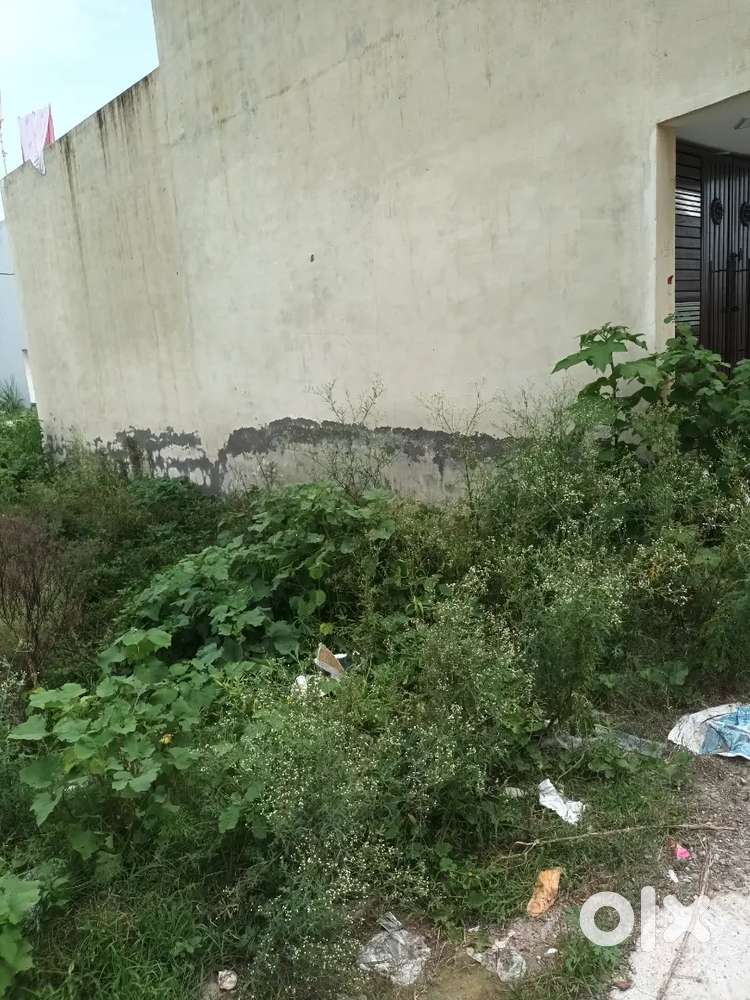 East facing plot in jamalpur near primery school 100 mtr distance