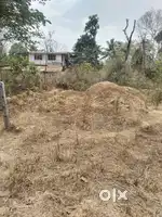 Sanad plot