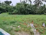 22 Cents of Residential Property in a Villa Project in Kadavanthra