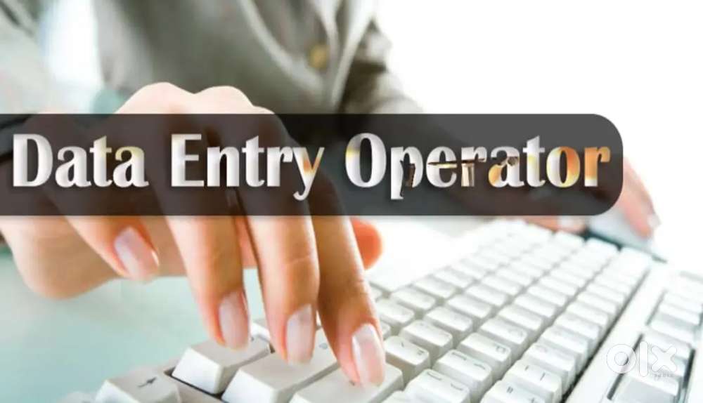 Data Entry back office