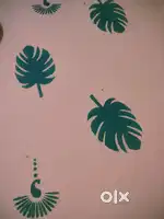 Vajib daam me ghar ko colour karvaye